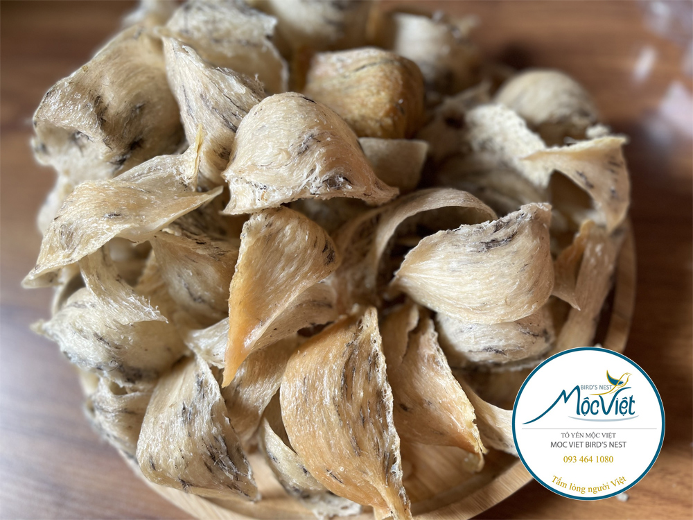 Cách bảo quản tổ yến và một số lưu ý khi bảo quản