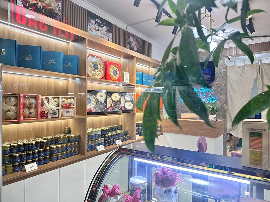 Giới thiệu Yến sào Mộc Việt