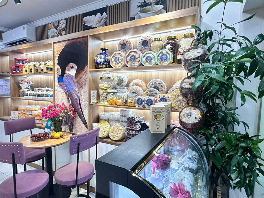 Giới thiệu Yến sào Mộc Việt