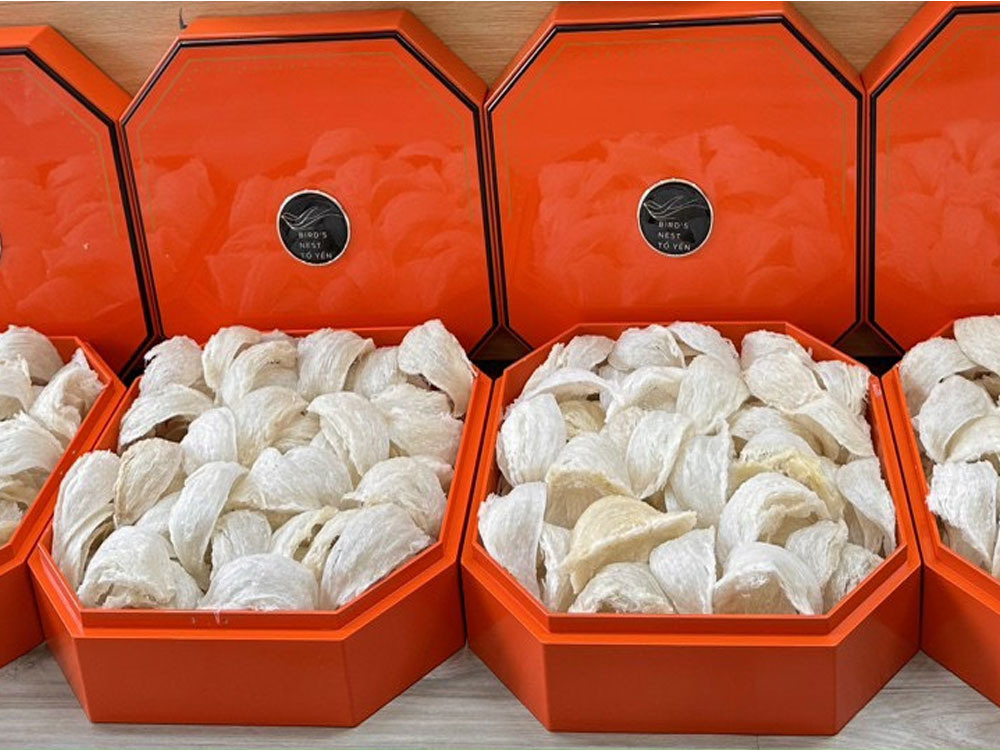 Yến sào Mộc Việt