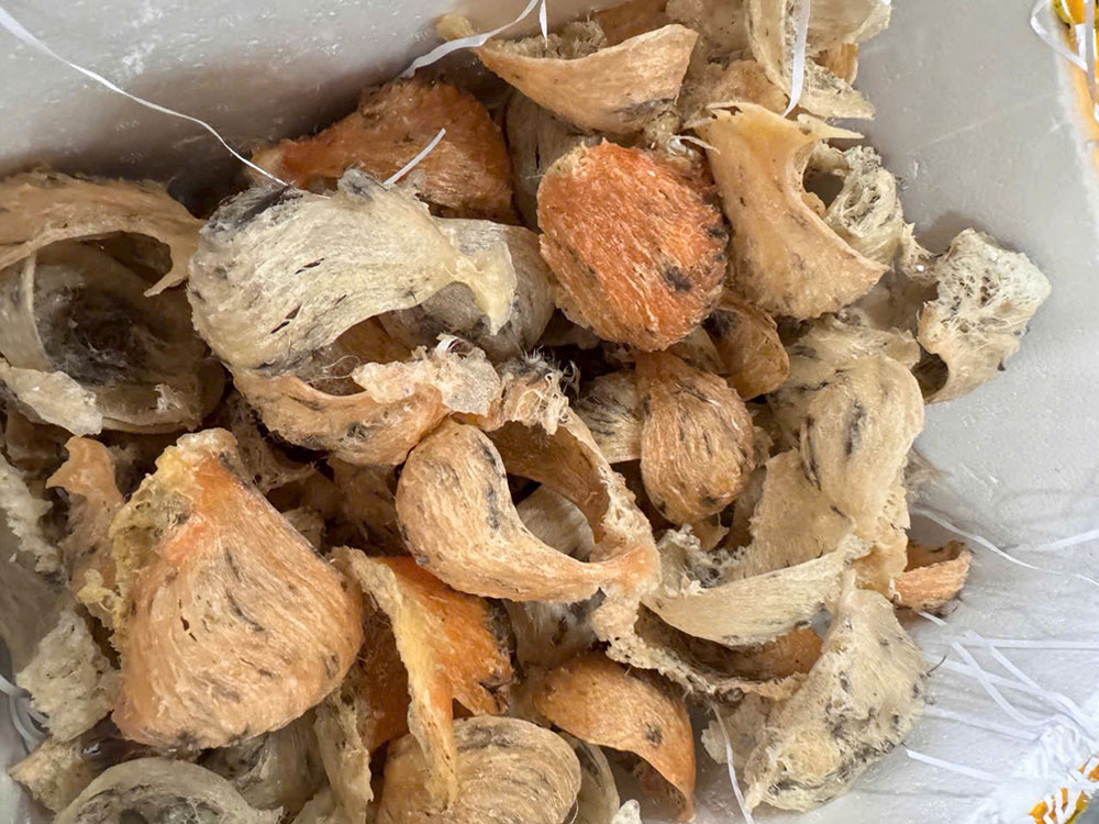 Tổ yến thô đảo loại đặc biệt