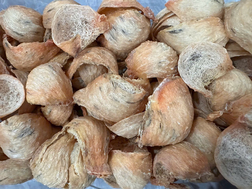 Tổ yến thô đảo loại đặc biệt