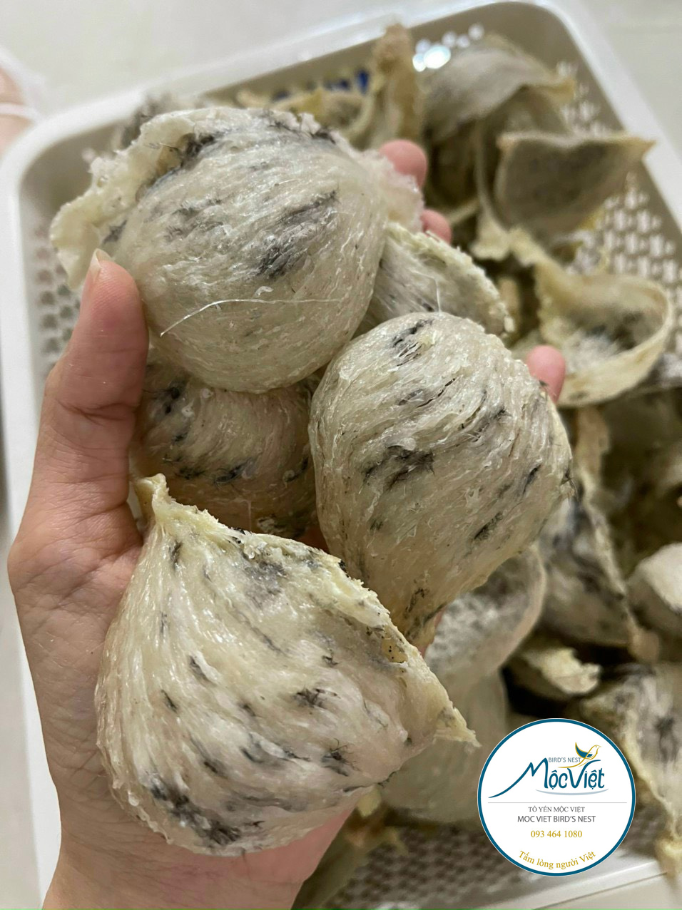 Tổ yến thô trắng - Loại đặc biệt