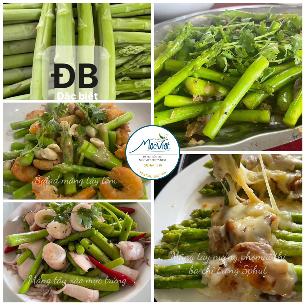 Măng tây Mộc Việt