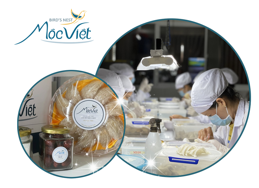 Yến sào Mộc Việt